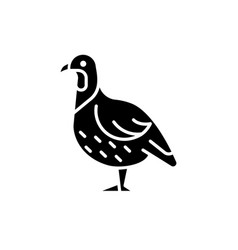 Partridge Vector Images (over 440)