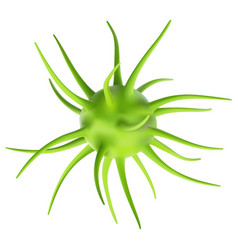 Viruses and bacteria realistic microscopic cells Vector Image