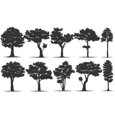 set of tree silhouette vector image