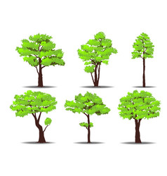 set of trees vector image