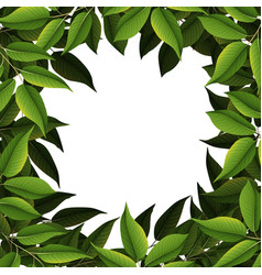 A green nature leaf border Royalty Free Vector Image