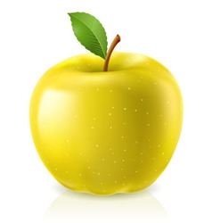 Apple Shape Royalty Free Vector Image - Vectorstock