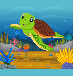 Cartoon turtle underwater Royalty Free Vector Image