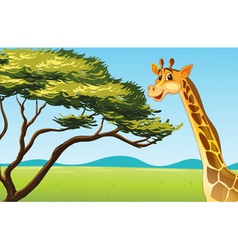 Giraffe cartoon Royalty Free Vector Image - VectorStock