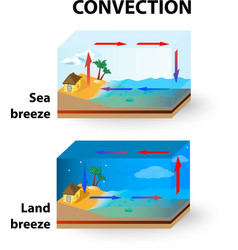 Diagram showing circulation land breeze Royalty Free Vector