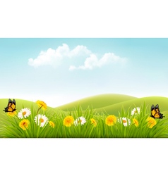 Background with sunflower field over cloudy blue Vector Image