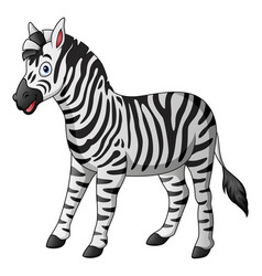 Cute baby zebra cartoon Royalty Free Vector Image