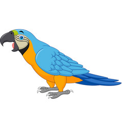 Cartoon funny parrot isolated on white background Vector Image