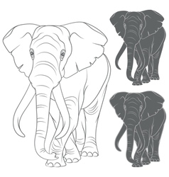 Thai Elephants Royalty Free Vector Image - VectorStock