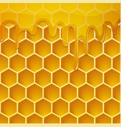 Honeycomb with honey background Royalty Free Vector Image
