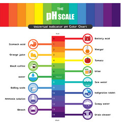 Ph scale universal indicator ph color chart Vector Image