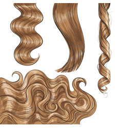 Hair Extensions Vector Images Over 170