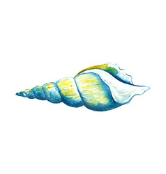 Watercolor Seashell Royalty Free Vector Image - VectorStock