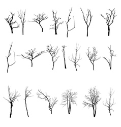 Black silhouette of a bare tree Royalty Free Vector Image