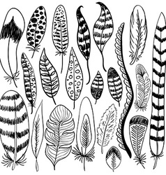 Hand drawn doodle feathers set Royalty Free Vector Image