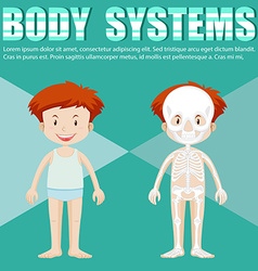 Body Parts Diagram Poster Royalty Free Vector Image