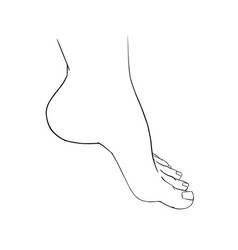 Beautiful female feet barefoot sketch Royalty Free Vector