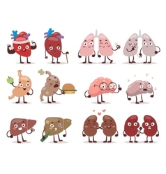Human organs characters vector image