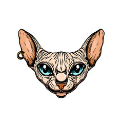 Cat Sphynx Drawing Vector Images Over 240