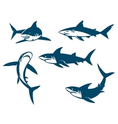 Featured image of post Shark Silhouette Outline High quality shark silhouette gifts and merchandise