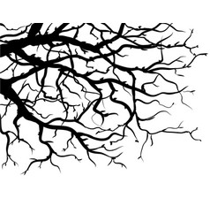 Dry branch Royalty Free Vector Image - VectorStock