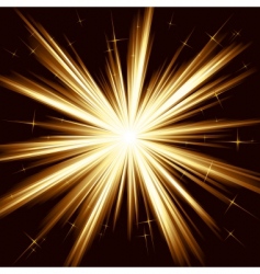 Star burst Royalty Free Vector Image - VectorStock