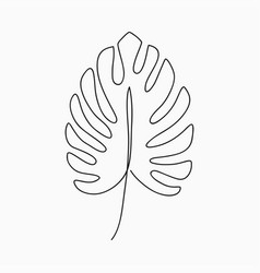 Monstera Leaf Vector Images (over 18,000)