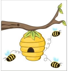 Honey bees and hive on tree branch background Vector Image