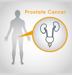 Blue prostate cancer awareness ribbon realistic Vector Image