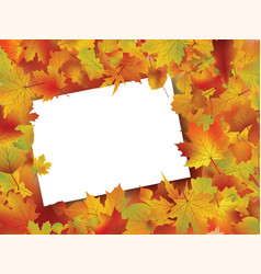 thanksgiving fall autumn background royalty free vector