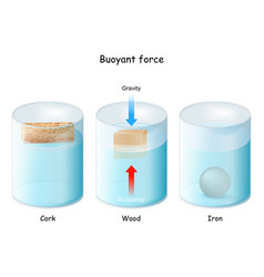 Diagram showing evaporation separating mixtures Vector Image