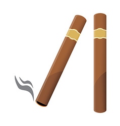 Different cigar shapes Royalty Free Vector Image