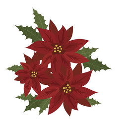 Flower poinsettia cartoon christmas flower Vector Image