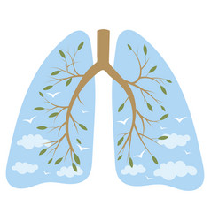 Human lungs respiratory system healthy lungs Vector Image