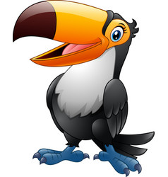 Cartoon toucan isolated on white background Vector Image