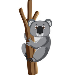 Koala climb on a tree in cartoon style Royalty Free Vector