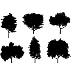 Tree silhouettes Royalty Free Vector Image - VectorStock