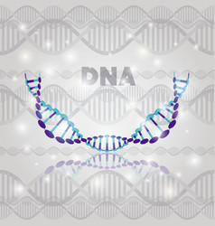 Dna molecule half circle golden structure Vector Image
