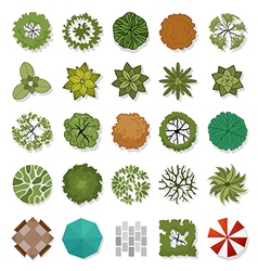 Trees top view for landscape design Royalty Free Vector