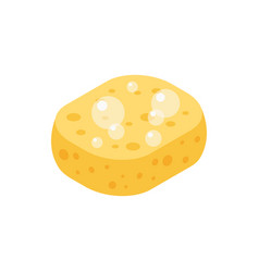 Sponge Royalty Free Vector Image - VectorStock