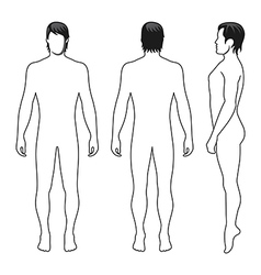 Featured image of post Male Template Male Body Outline Drawing Choose from a nice collection of body outline front and back worksheets