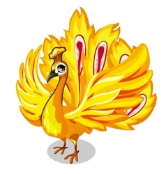 fancy white background