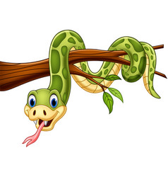 Funny snake cartoon Royalty Free Vector Image - VectorStock