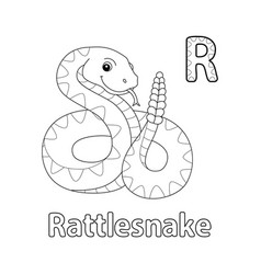 Racoon animal tracing letter abc coloring page r Vector Image