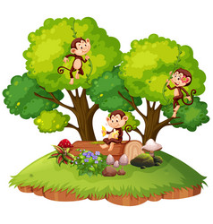 Monkey on isolated island Royalty Free Vector Image