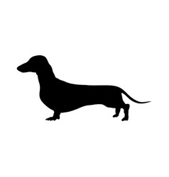 Dachshund dog cartoon Royalty Free Vector Image