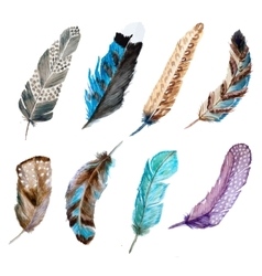 Watercolor feathers Royalty Free Vector Image - VectorStock