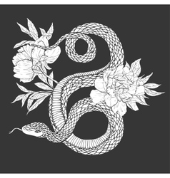 Snakes and flowers tattoo art coloring books Vector Image