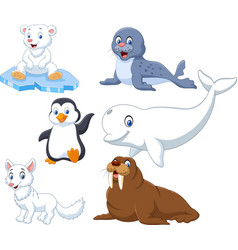 Arctics animals collection set Royalty Free Vector Image