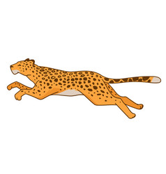 Leaping Leopard Vector Images (57)